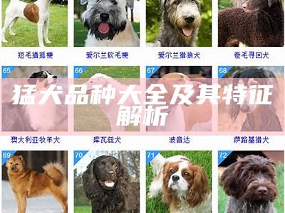 猛犬品种大全及其特征解析