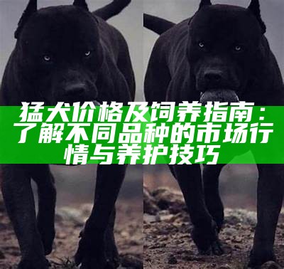 猛犬价格及饲养指南：了解不同品种的市场行情与养护技巧