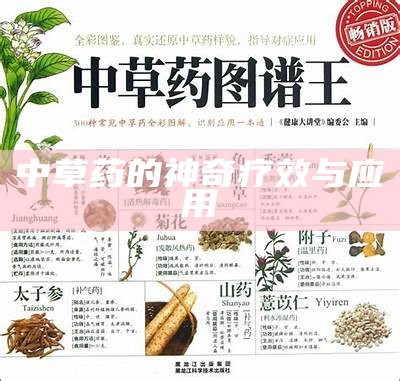 中草药的神奇疗效与应用